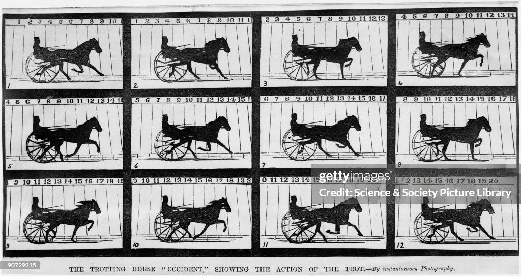 The trotting horse 'Occident', 1879. Kinetograph from 'Century'... News Photo - Getty Images The trotting horse 'Occident', 1879. Kinetograph from 'Century'... News Photo - Getty Images