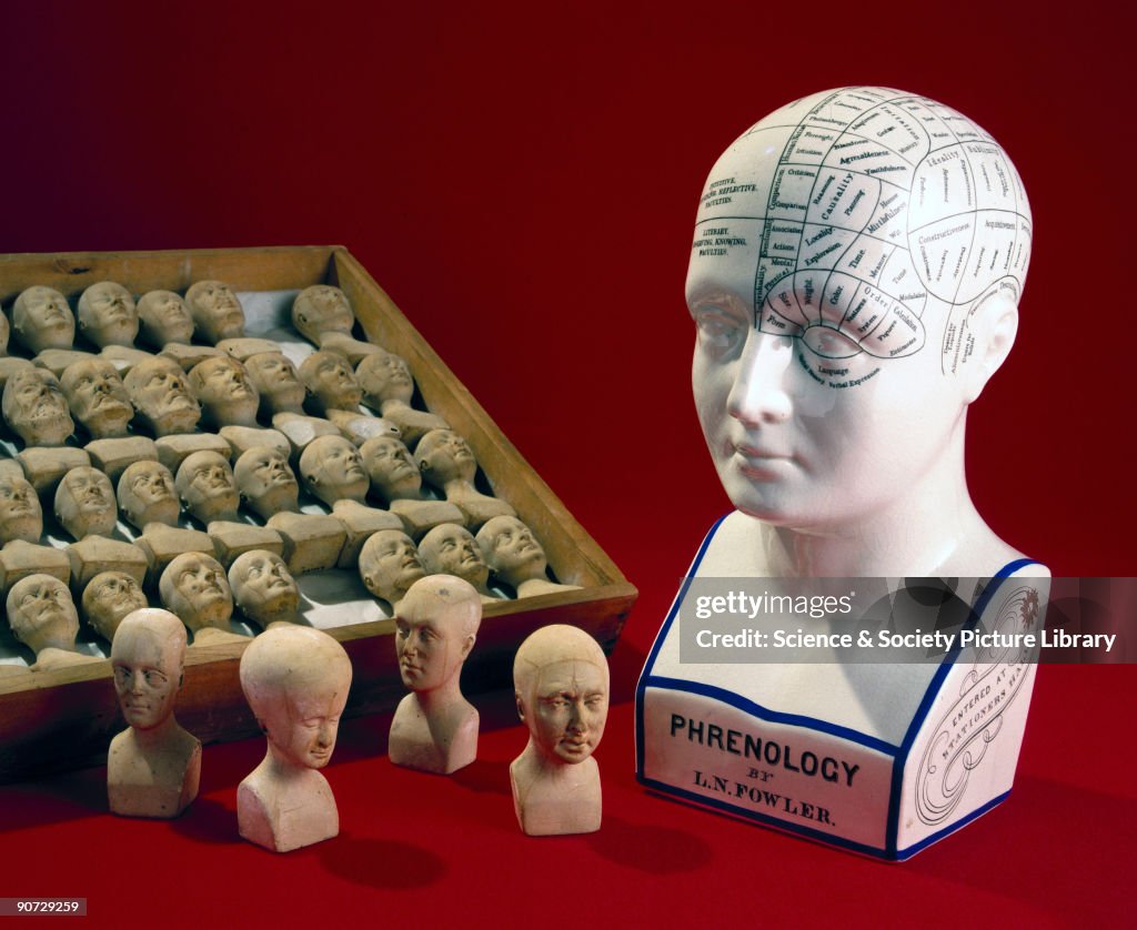 Fowler�s phrenological head and a case of sixty phrenological heads, 1831-1896.