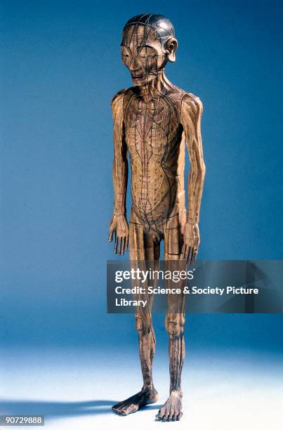 This wooden figure of a man nearly a metre tall was used in acupuncture teaching in China. Acupuncture is a medical technique which has been...