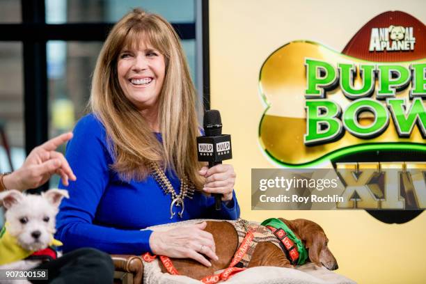 Jill Rappaport with Rubi the dog discuss Animal Planets "Puppy Bowl XIV" with the Build Series at Build Studio on January 19, 2018 in New York City.