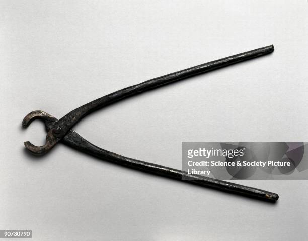 This large pair of steel dental forceps was collected in Northern Nigeria by Dr Frances Wakefield.
