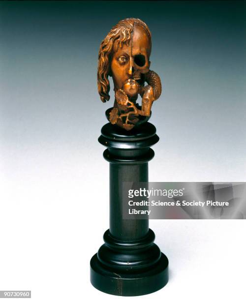 Wooden model on a plinth showing a female head divided into two halves: one half shows a woman's face and hair, the other shows a skull. The hair is...