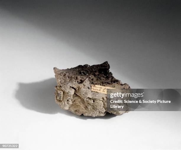 This piece of vesicular pumice comes from the Astroni volcano in Italy. Pumice is a light volcanic rock, made by the frothing action of expanding...