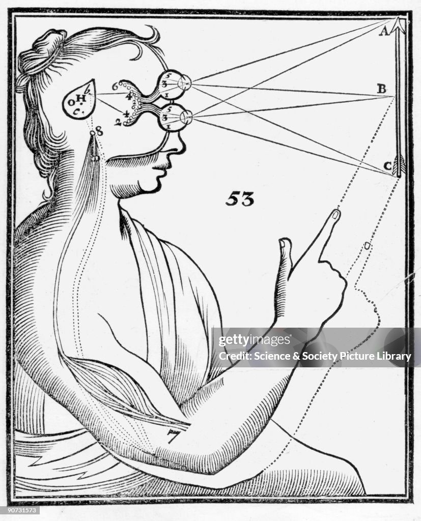 Theory of Perception, anatomical drawing, 1686.