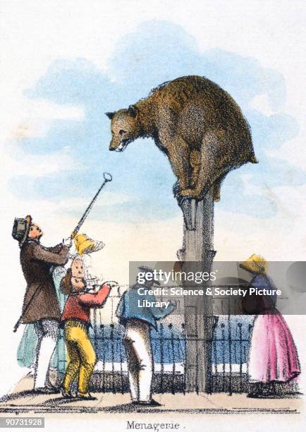 Vignette from a lithographic plate showing a bear in a zoo being taunted by onlookers. Taken from The Bear' in'Graphic Illustrations of Animals -...