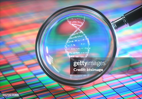 Amplifying DNA Helix Amplifying DNA Helix