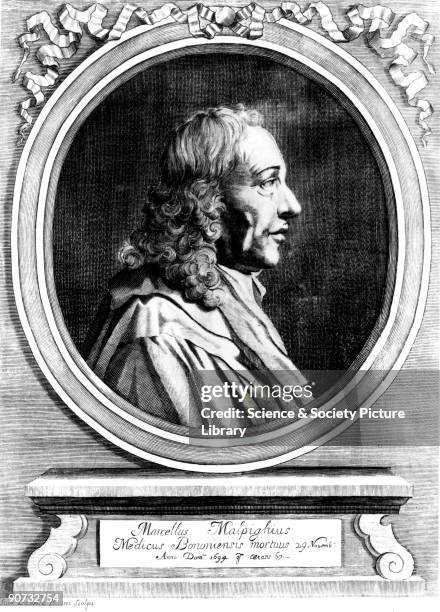 Marcello Malpighi undertook pioneering work in embryology, plant anatomy, histology and comparative anatomy and discovered the capillaries. In 1660...