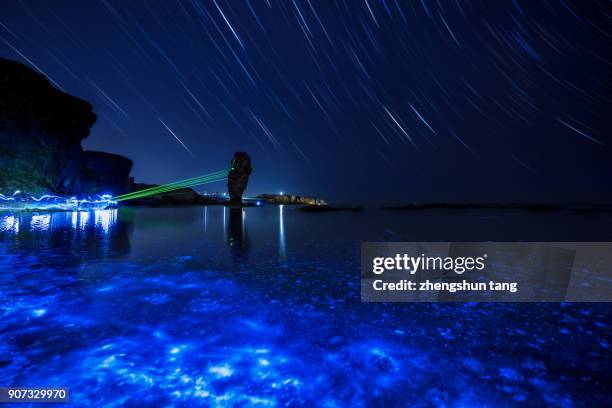 star trails in the bioluminescent bay - bioluminescence stock-fotos und bilder
