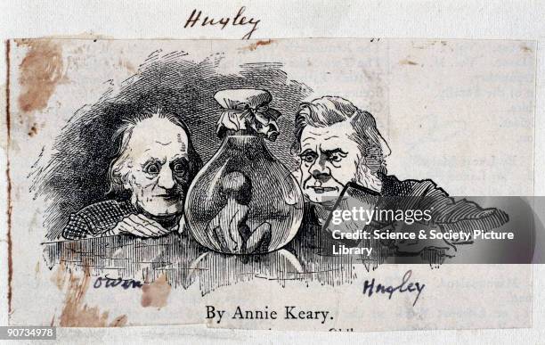 Shown looking at a �Water Baby�. Huxley was the formeost scientific supporter of Darwin's theory of evolution by natural selection, whereas Owen was...