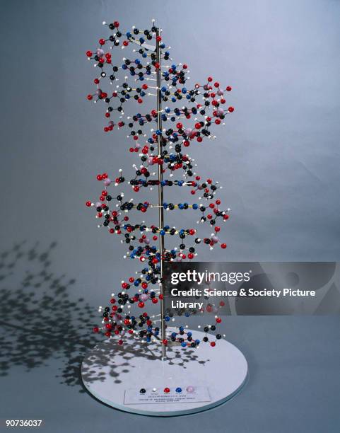 The structure of DNA was discovered by Francis Crick and James Dewey Watson whilst working in the Medical Research Council Unit at the Cavendish...