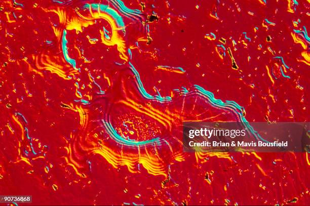 Stainless steel with colloidal silica deposit. Stainless steel with colloidal silica deposit. Light micrograph in differential interference contrast....