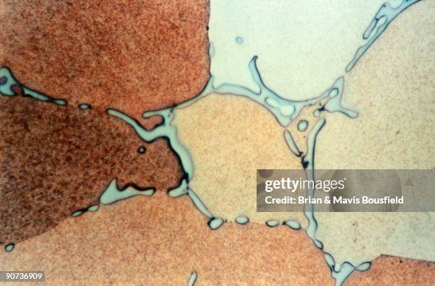 Aluminium 4% copper . Aluminium 4% copper . Grains of solid solution of copper in aluminium. Light micrograph in bright field. Magnification 500x.