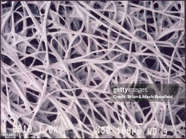 Textile Magnification 119 Micrograph Textile Stock Photos, High-Res Pictures, and Images ...
