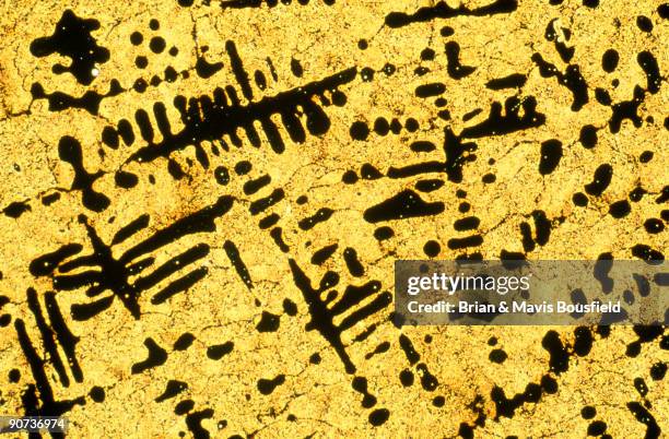 Metal Micrograph Photos and Premium High Res Pictures - Getty Images