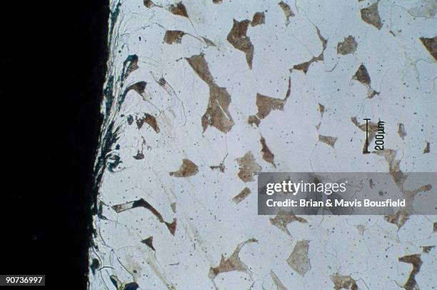 Metal Micrograph Photos and Premium High Res Pictures - Getty Images