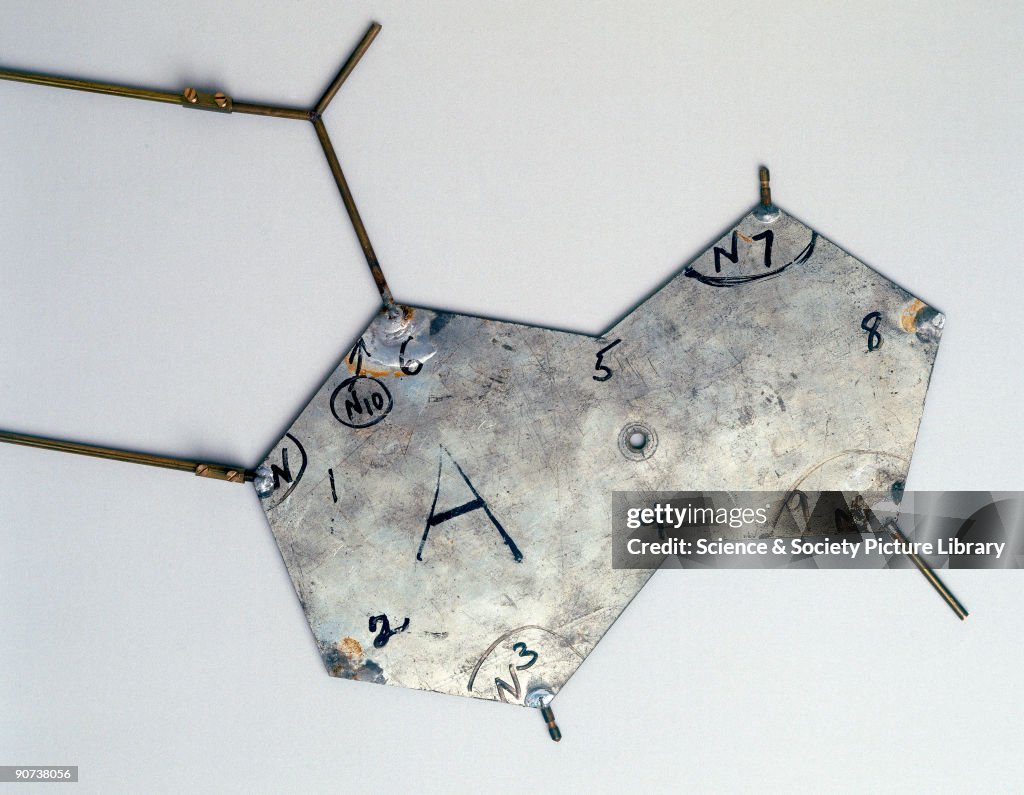 Template from Crick and Watson�s DNA molecular model, 1953.