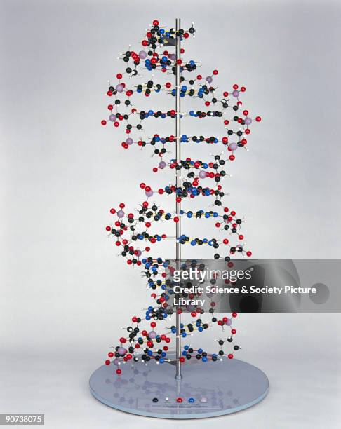 The structure of DNA was discovered by Francis Crick and James Dewey Watson whilst working in the Medical Research Council Unit at the Cavendish...