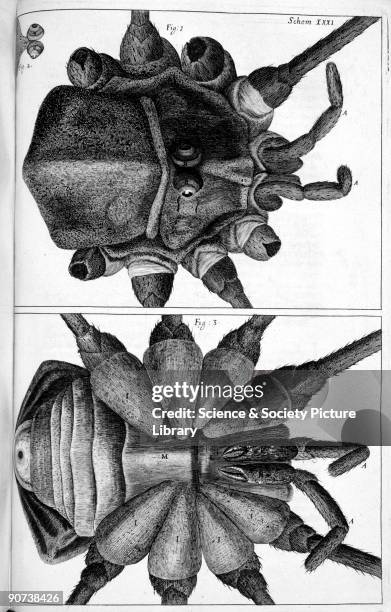 Micrographica 76 Hooke Microscope Stock Photos, High-Res Pictures, and Images - Getty ...