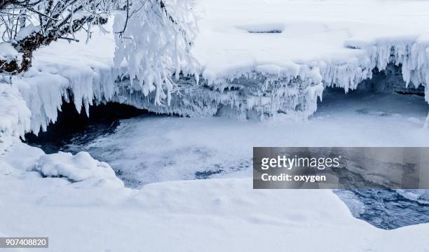 crackes on winter frozen river on altay mountains - legends brunch stock pictures, royalty-free photos & images