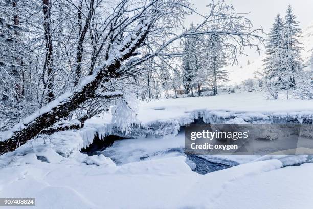 crackes on winter frozen river on altay mountains - legends brunch stock pictures, royalty-free photos & images