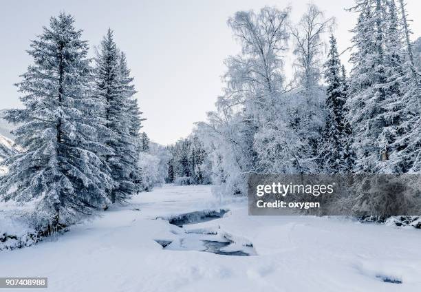 winter frozen river with cracks in altay mountains - legends brunch stock pictures, royalty-free photos & images