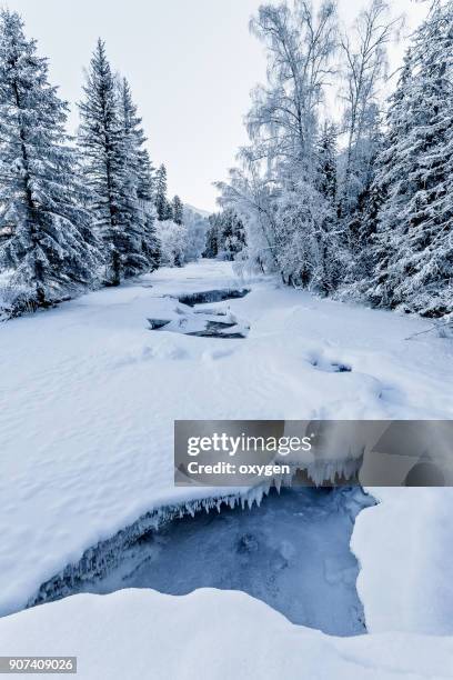 winter frozen river with cracks in altay mountains - legends brunch stock pictures, royalty-free photos & images