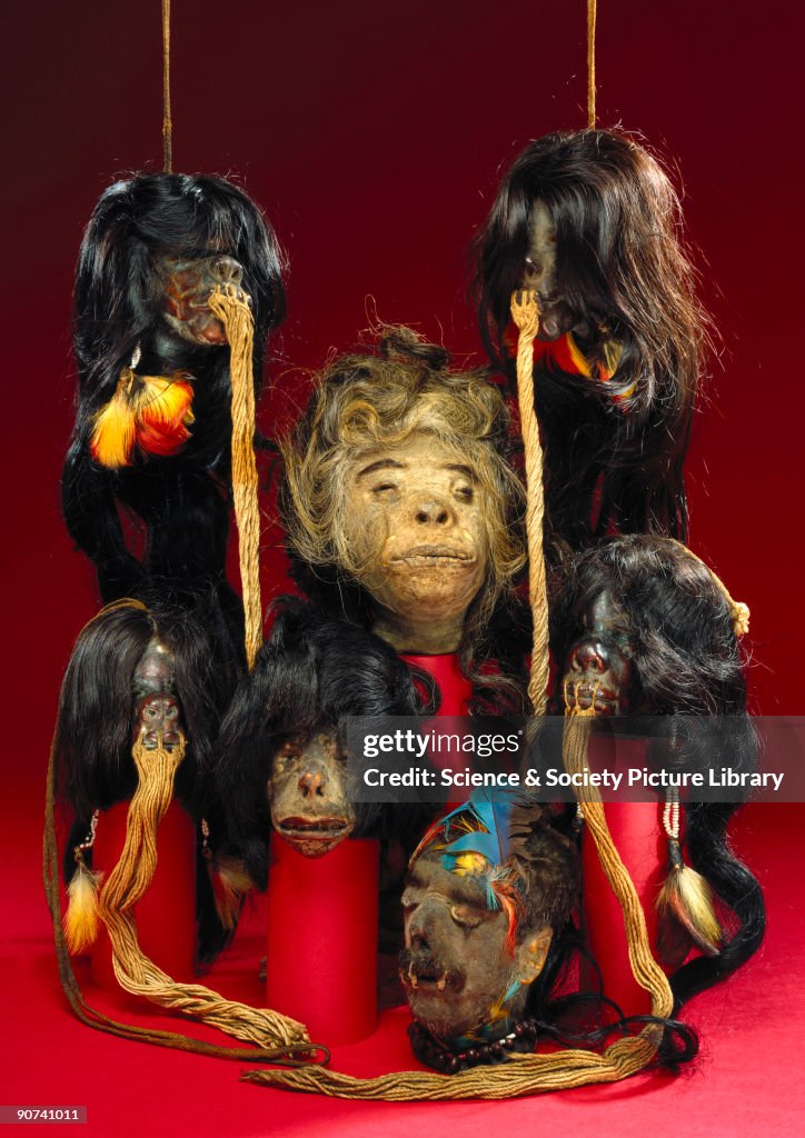 Shrunken heads, South American, 19th century.