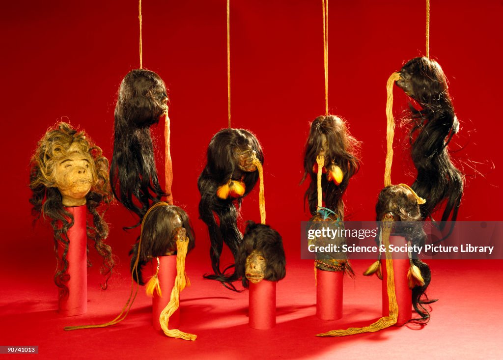 Shrunken heads, South American, 19th century.