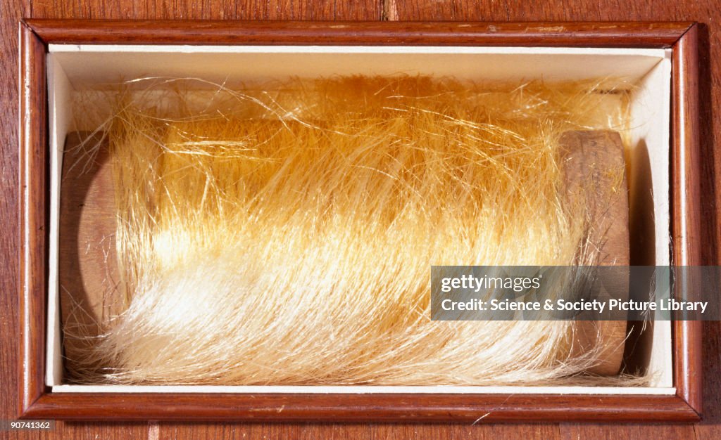 Spool of viscose rayon (artificial silk), 1896-1900.