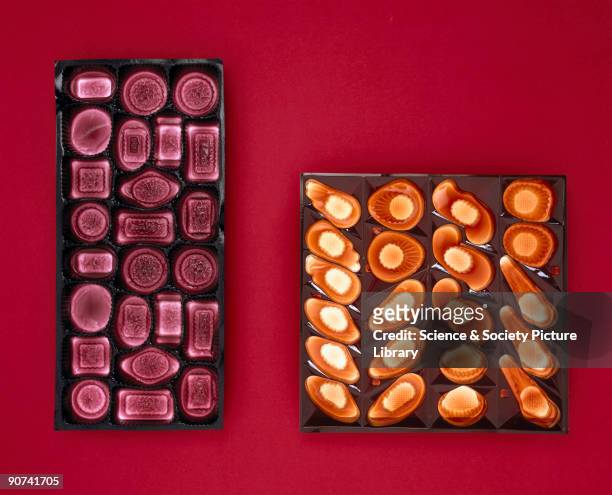 Two half pound chocolate trays made from plastics. The thin sheets of plastic are vaccuum formed into the shape required.