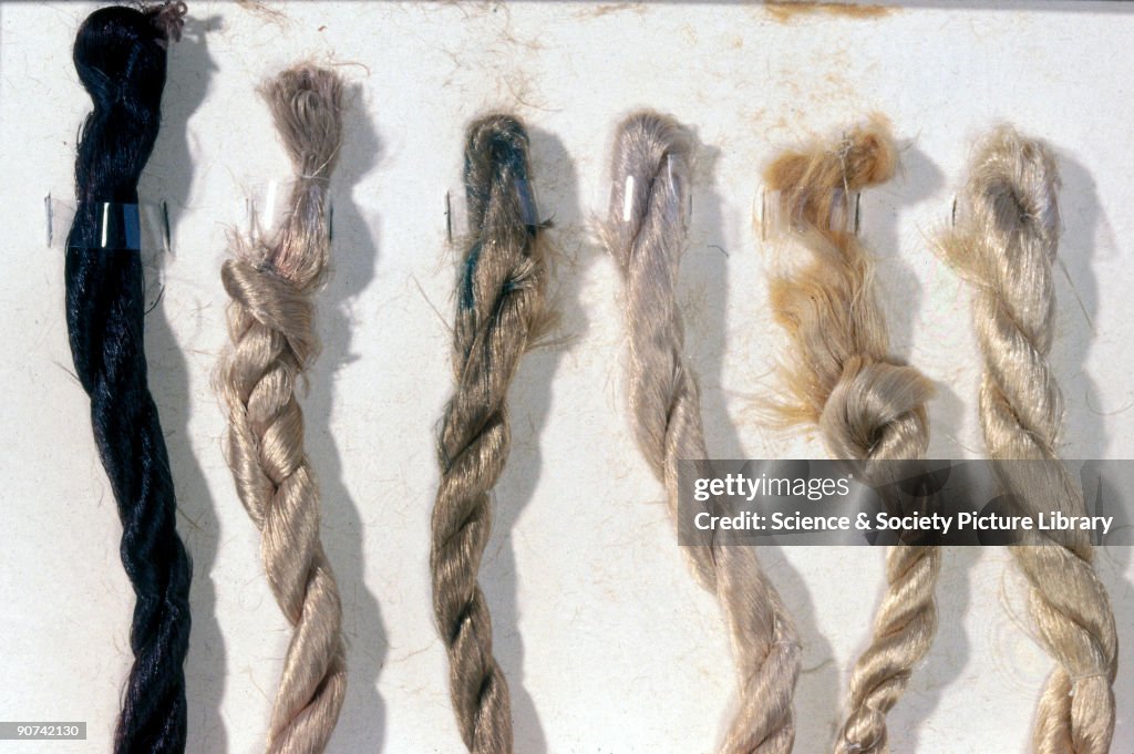 Viscose rayon (artificial silk), 1896-1900.