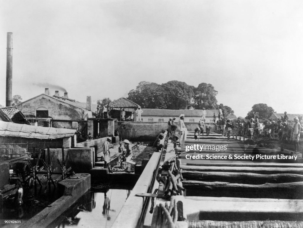 Indigo factory, Allahabad, India, 1877.