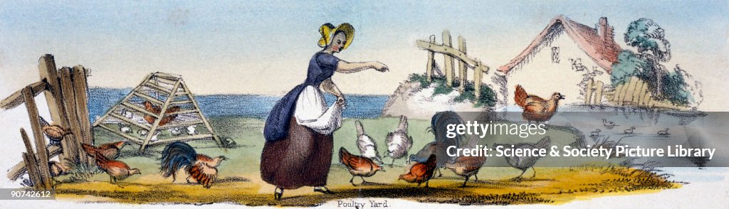 Poultry Yard, c 1845.