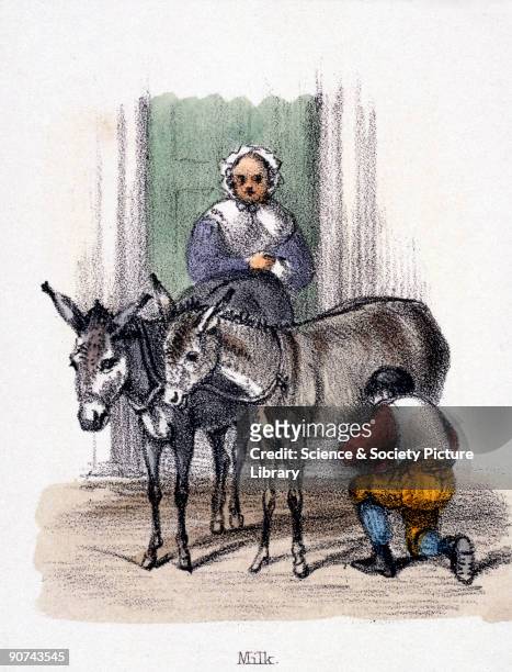 Vignette from a lithographic plate showing a man milking a donkey, or ass in front of a house. Asses� or donkey's milk is higher in both sugar and...
