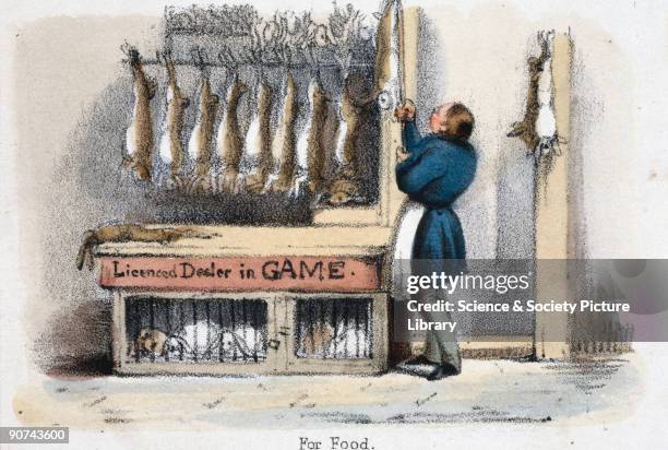 Vignette from a lithographic plate showing a row of dead rabbits hanging up at a butcher�s stall and live, caged rabbits. Taken from 'The Hare and...