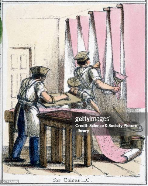 Vignette from a lithographic plate showing decorators painting wallpaper with paint made from cochineal. Cochineal, or carmine, is a natural red dye...