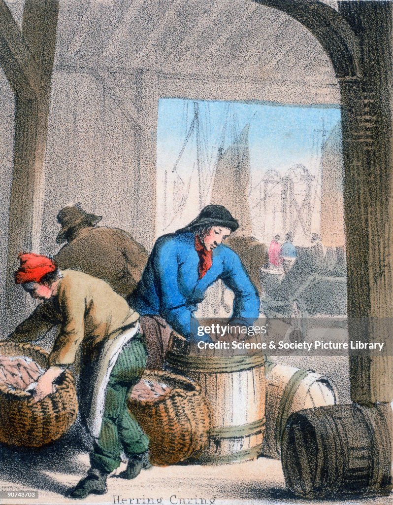 Herring Curing, c 1845.