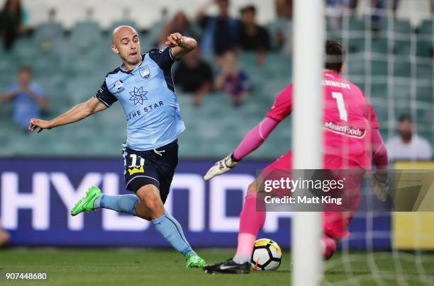 Adrian Mierzejewski of Sydney FC controls the ball towards goal during the round 17 A-League match between Sydney FC and the Central Coast Mariners...