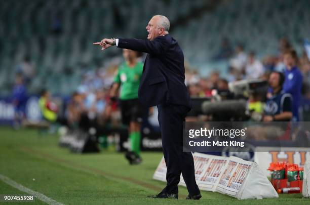 Sydney FC coach Graham Arnold looks on during the round 17 A-League match between Sydney FC and the Central Coast Mariners at Allianz Stadium on...
