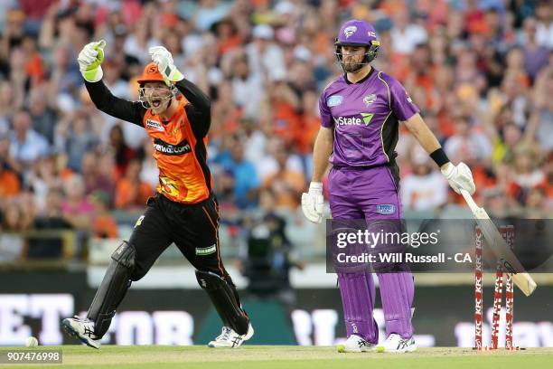 Cameron Bancroft celebrates after Ashton Agar of the Scorchers takes the wicket of Dan Christian of the Hurricanes during the Big Bash League match...