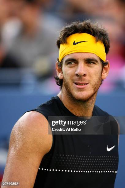 Juan Martin Del Potro of Argentina looks on during the Men�s Singles final against Roger Federer of Switzerland on day fifteen of the 2009 U.S. Open...