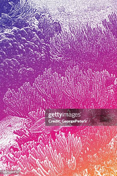 caribbean coral reef with tropical fish - staghorn coral stock illustrations