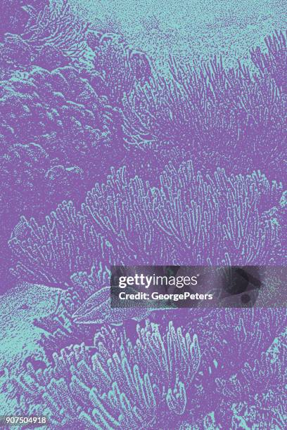 caribbean coral reef with tropical fish - blue parrotfish stock illustrations