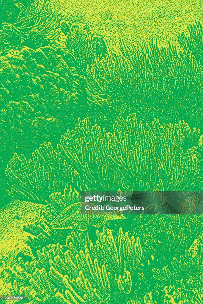Caribbean coral reef with tropical fish