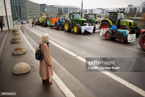 Woman watches tractors attending a march to demonstrate against the agro-industry on January 20, 2018 in Berlin, Germany. Marchers, whose protest is...