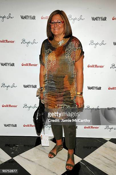 Senior Vice President of IMG Fashion Fern Mallis attends the Premiere of "Bright Star" Presented by Vanity Fair & Apparition at Paris Theatre on...