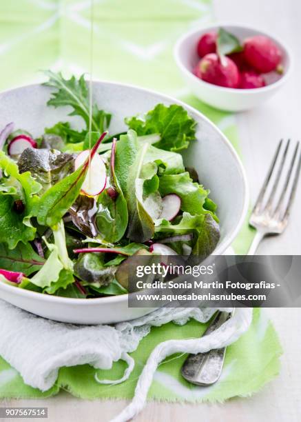 green salad - side salad fotografías e imágenes de stock