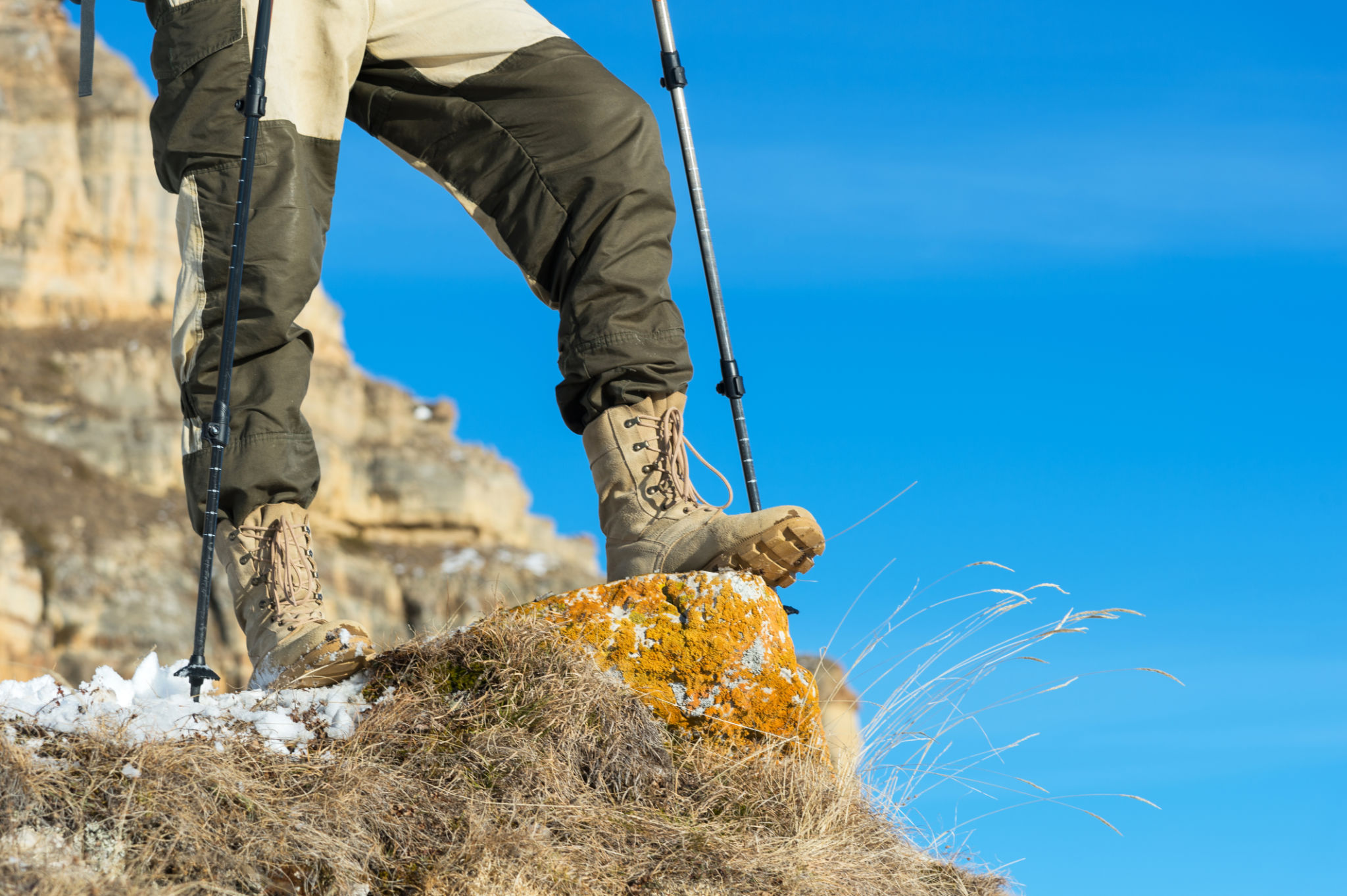 patagonia clothing