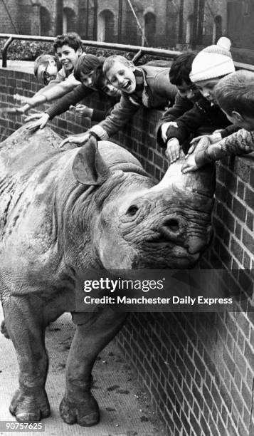 Paul the black rhinoceros gets attention from young admirers - he had just become a father. His mate June gave birth to a healthy daughter, the size...