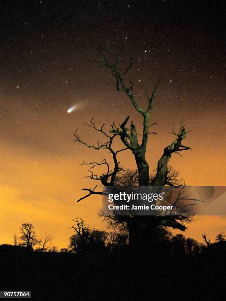 This image of comet Hale-Bopp was taken in the spring of 2007 using a Canon SLR camera with a timed exposure of approximately 40 seconds. Photograph...